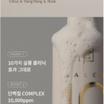 미쟝센 살롱 10 단백질 샴푸 극손상 모발용 990ml 1개 추천, 잦은 염색과 드라이로 푸석하고 엉키는 머릿결 때문에 단백질 케어 찾을 때 상품 이미지 3