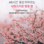비건 오가니스트 엘라스틴 수분 영양 샴푸 체리블라썸 750ml 1개 추천, 머릿결이 푸석하고 샴푸 후 뻣뻣해지는 게 신경 쓰일 때 상품 이미지 2