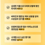 네시픽 샴푸 오리진 스칼프 밸런싱 500ml 1개, 두피 각질과 머릿결 엉킴이 함께 신경 쓰여 데일리 두피 샴푸 찾을 때 상품 이미지 6
