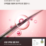 엘라스틴 프로틴 클리닉 10000 단백질 고영양 샴푸 피치 블로썸향 1L 2개, 펌과 염색으로 푸석해진 머릿결이 고민일 때 상품 이미지 3