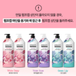 케라시스 퍼퓸 샴푸 화이트 데이지 1L 1개, 종류 비교하다 고른 은은한 꽃향 상품 이미지 3