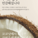 부케가르니 딥 퍼퓸 샴푸 베이비파우더 1L 1개, 후기에서 본 포근한 향과 머리 말린 뒤 은은하게 남는 잔향 상품 이미지 5