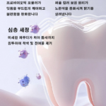 퍼플이 치아 코렉트 후기, 성분부터 사용법까지 제대로 알고 써볼까? 상품 이미지 4