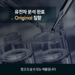 정관장 침향환 10환 성분 효능 가격, 대체 뭐가 들었길래? 상품 이미지 5