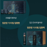 정관장 침향환 10환 성분 효능 가격, 대체 뭐가 들었길래? 상품 이미지 1