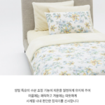 이서진 양모이불 크리스피바바 겨울 가격 사용방법 왜 찾는 걸까? 상품 이미지 1