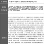 BTS 지민 NEW 아도르 헤어 퍼퓸 80ml 은방울꽃 오일 지민 향기가 따로 있다고? 상품 이미지 3
