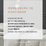 알레르망 구스이불 가격 보고 놀랐는데도 추천하는 이유 상품 이미지 3