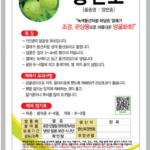 풍선초 꽃 화분 키우기 시작했는데 열매열어보니 씨앗에 하트가 있다고? 상품 이미지 3