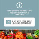 풍선초 꽃 화분 키우기 시작했는데 열매열어보니 씨앗에 하트가 있다고? 상품 이미지 4