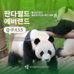 에버랜드 큐패스 패키지 당일구매방법 사파리 가격 그냥 갔다간… 상품 이미지 2