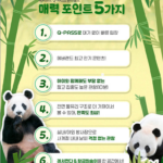 에버랜드 큐패스 패키지 당일구매방법 사파리 가격 그냥 갔다간… 상품 이미지 4