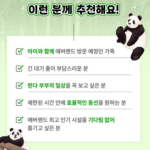 에버랜드 큐패스 패키지 당일구매방법 사파리 가격 그냥 갔다간… 상품 이미지 3