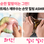 리센느 왁뿌볼 말랑이 슬라임 가격 이서진은 몰랐다고? 상품 이미지 6