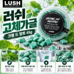 러쉬 고체가글 비교 사용법 가격 추천 가글을 씹는다고?