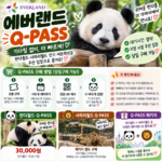 에버랜드 큐패스 패키지 당일구매방법 사파리 가격 그냥 갔다간...